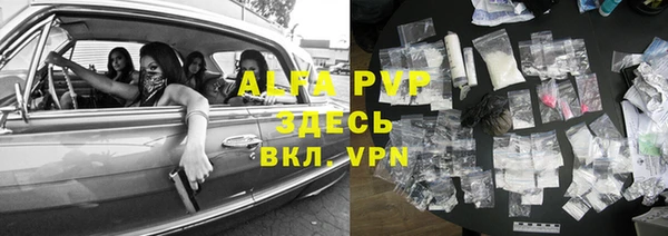 прущие крисы Верея