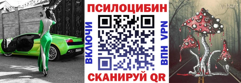 что такое наркотик  Новохопёрск  ссылка на мегу сайт  Галлюциногенные грибы мицелий 